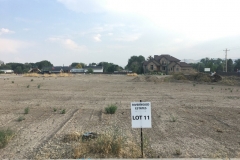 Lot-11