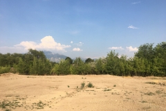 Lot-4