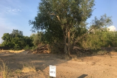 Lot-7-2
