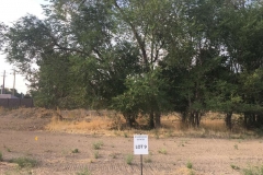 Lot-9